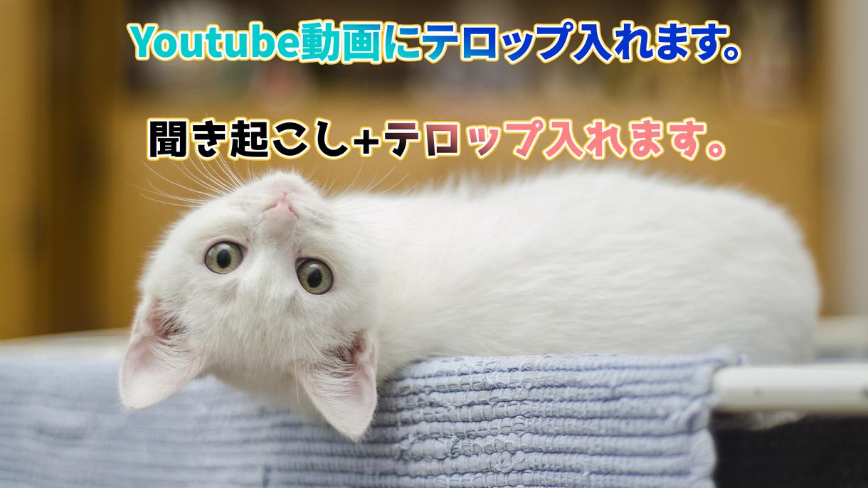 youtube動画にテロップ入れます 聞き起こし+テロップ入れ承ります。
