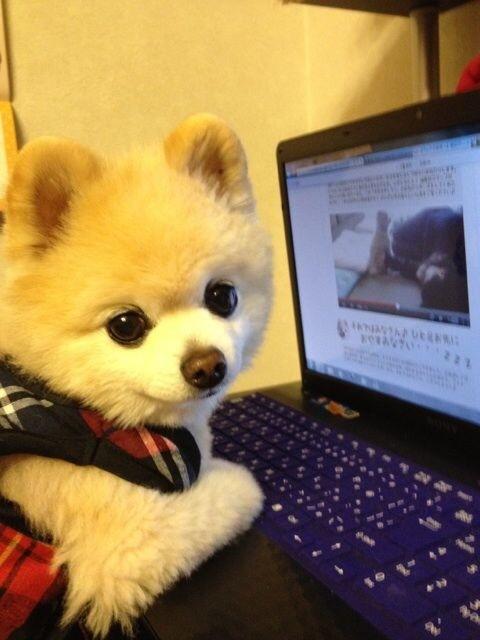 ホームページ作成します 企業やお店などHPを費用を抑えて作りたい・新しくしたい方