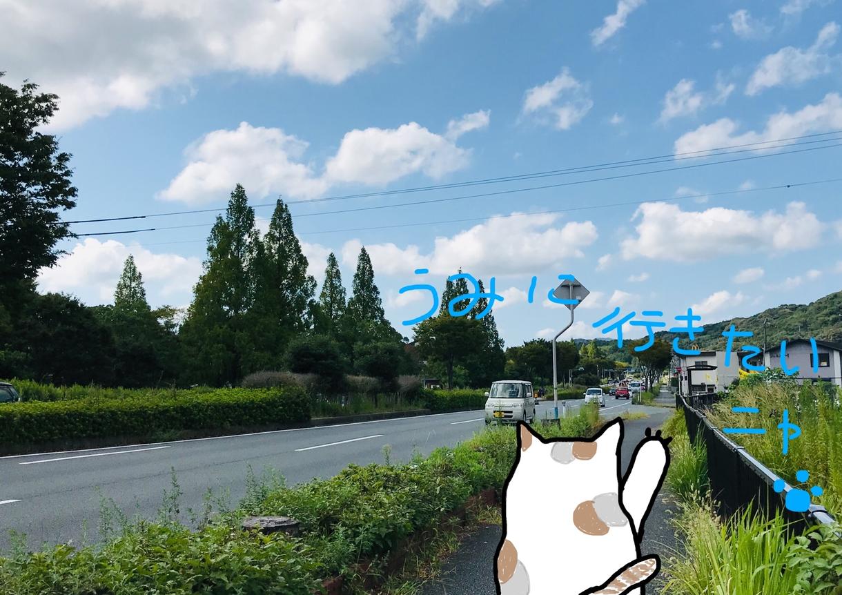 写真にイラスト描きます 気に入った写真にイラストを描きます。