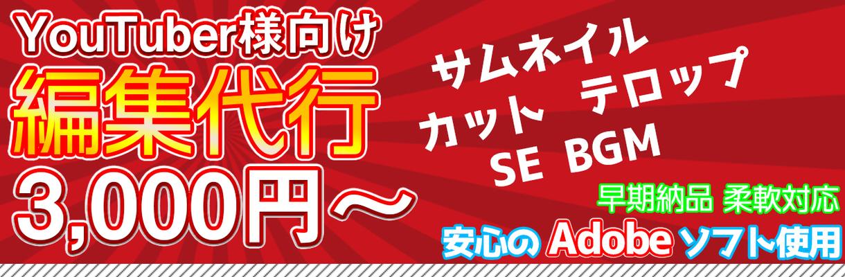 YouTube向けの動画制作・編集をお受けします 今後マーケティング手段としてYouTubeを活用したい方!
