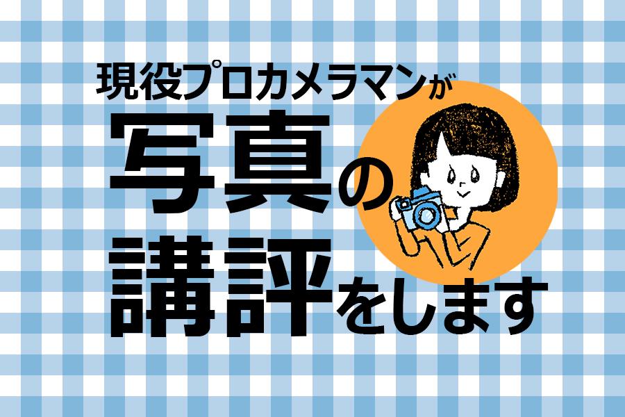 現役プロカメラマンが写真のアドバイスをします ◎ぜひ、お気に入りの1枚をお送りください(^^)