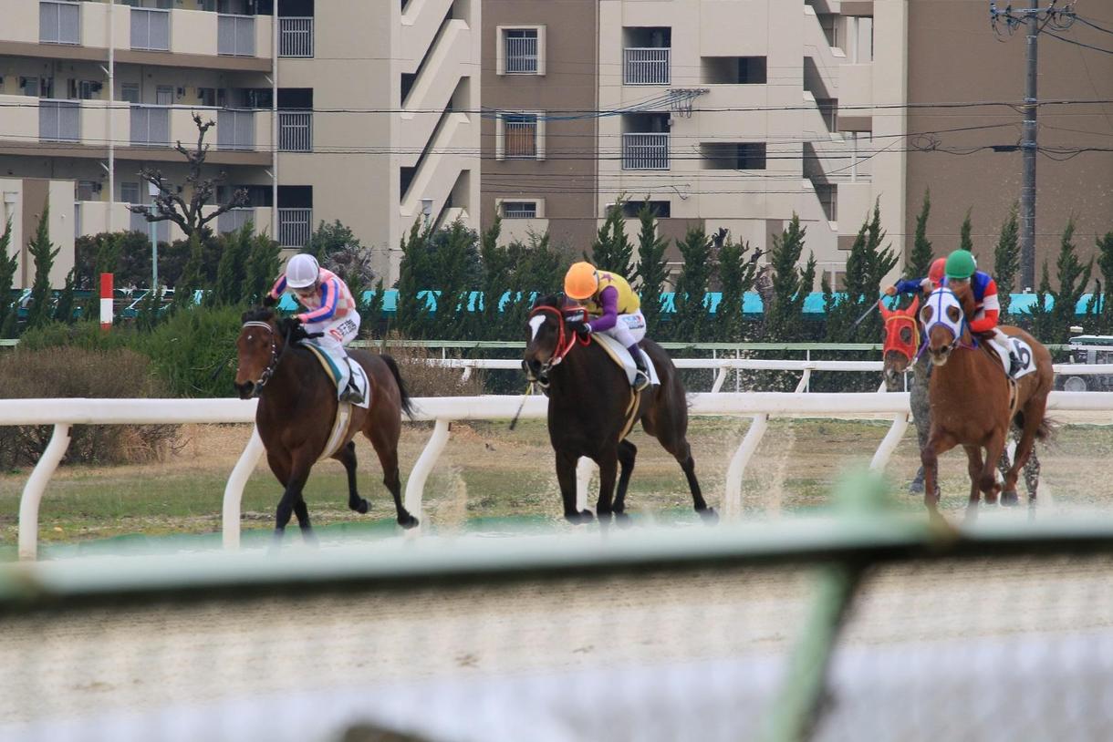 金沢競馬・究極の馬券術教えます 金沢競馬に興味のある方・驚異の回収率