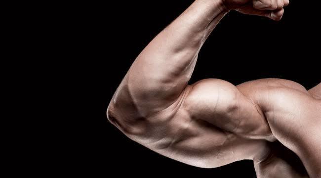 トレーニングやダイエットの相談に乗ります できる限りわかりやすく説明します。