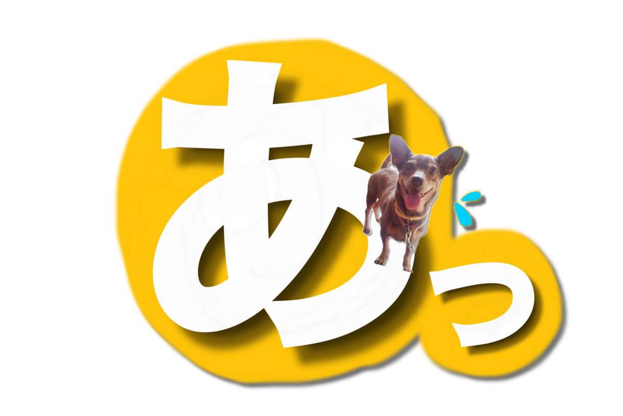 写真でLINEスタンプ作ります オリジナルLINEスタンプ16個で2000円❗️