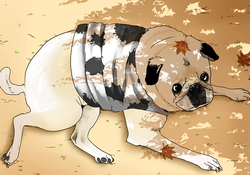 ペット似顔絵データ制作ならforcaにお任せください