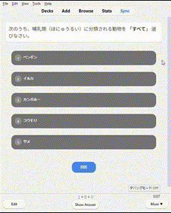 Ankiカードを理想のデザインと機能にします 既存カードに不満な方へ、プロがカスタマイズ！ イメージ5