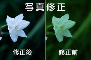 写真の明るさ・色修正・シワ消し・体型修正等をします 大切な写真の色味を直したい!気になる部分を修正したい!