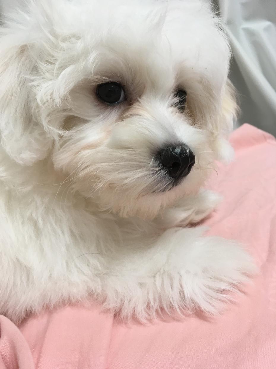 受付停止します これは受付停止致します。申し訳ありません。お許しください。
