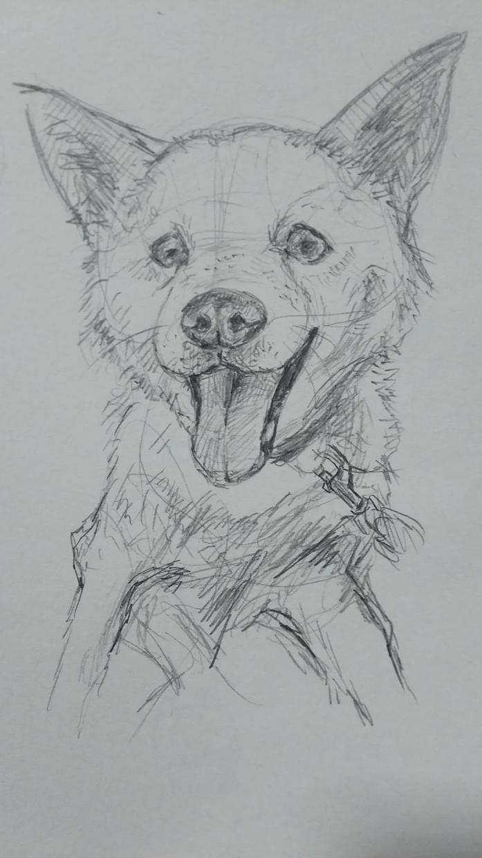 ペットの似顔絵描きます 誕生日記念などに、プレゼントや記念として特別な1枚を