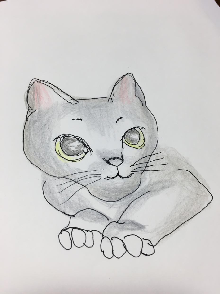 ペットのイラスト描きます おうちの可愛いペットのイラスト描きます!