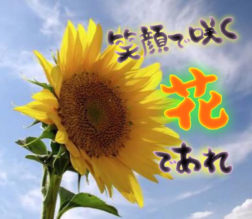 好きな言葉、写真に添えておつくりします 筆文字か好きな方へ!誰かにプレゼントしませんか?