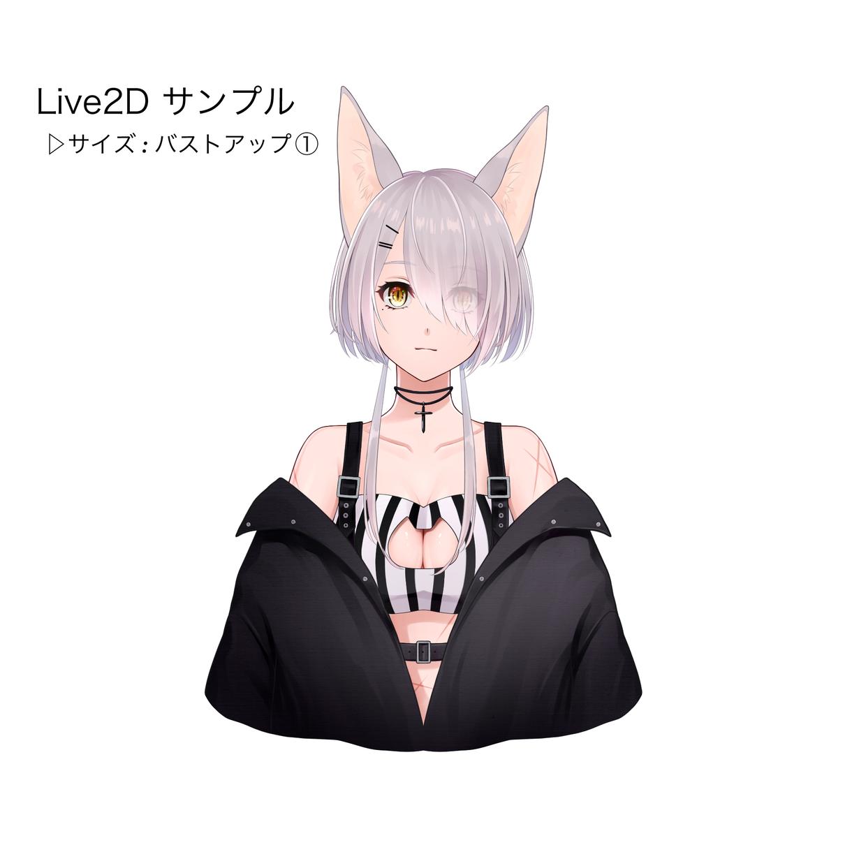 高可動域 Live2d用イラストを制作致します Vtuberになりたいあなたへ キャラクター作成 ココナラ