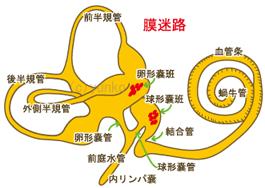 プリントや画像を【イラストレーターデータ】にします プリント物をイラストレーターデータに。 イメージ1