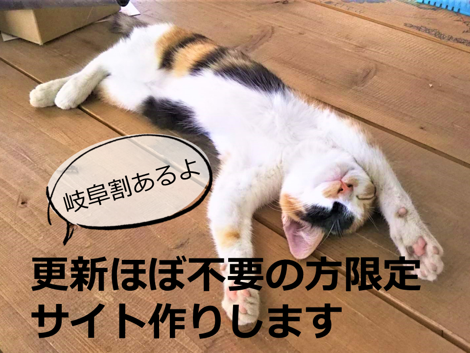 岐阜割あり★更新ほぼ不要の方限定でサイト作ります 情報発信はSNSやブログでやってる、特設サイトを作りたい等