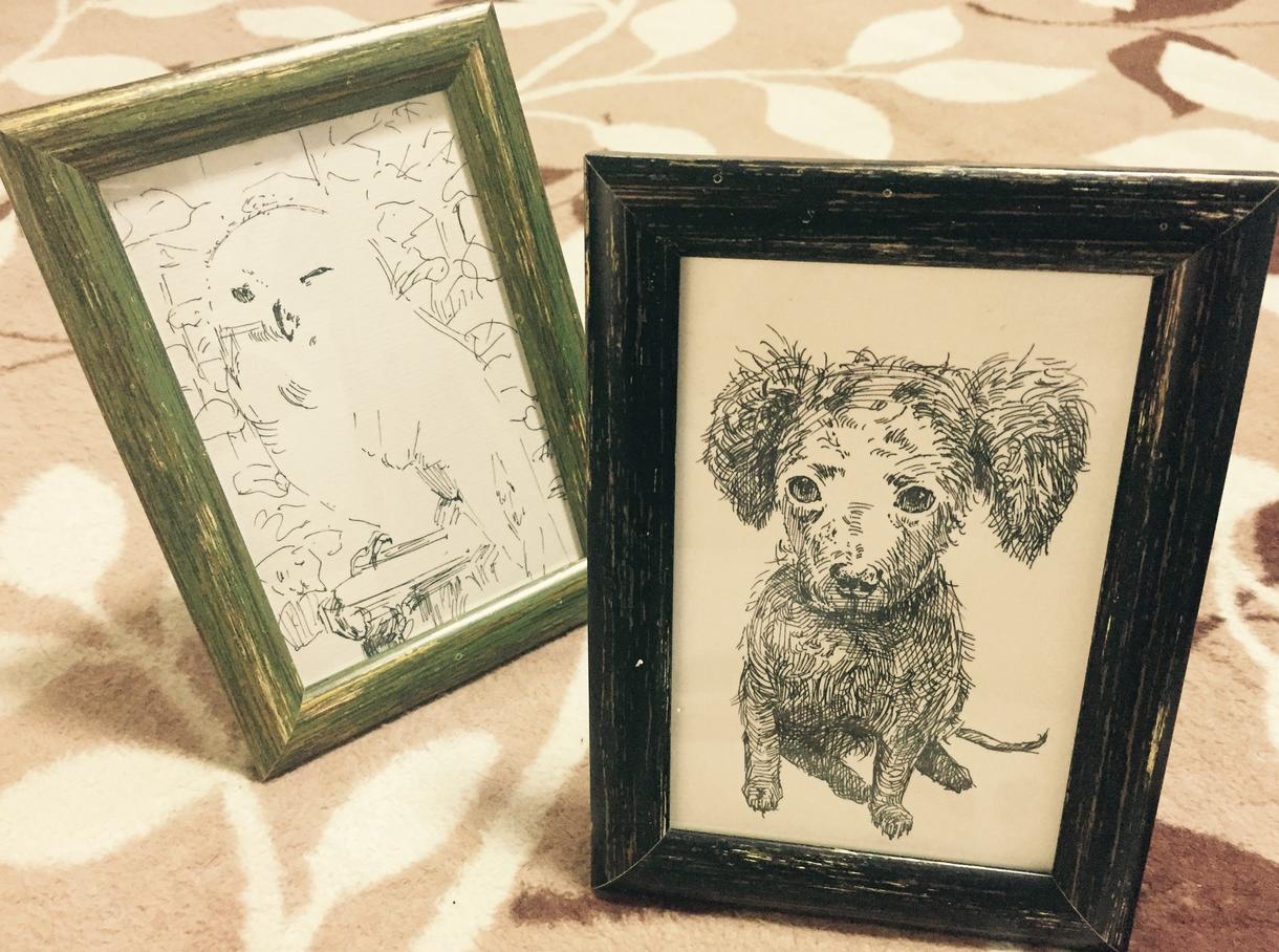 お手軽!愛犬を手書きポストカードにしちゃいします わんちゃんの似顔絵をリーズナブルな価格でお試ししたい方へ♪