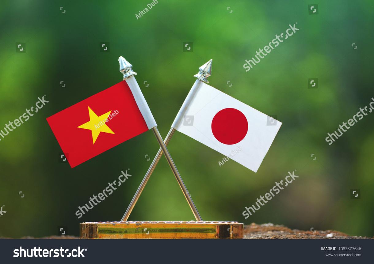 ベトナム語→日本語、日本語→ベトナム語翻訳します 何でも訳します。お任せください 翻訳 ココナラ