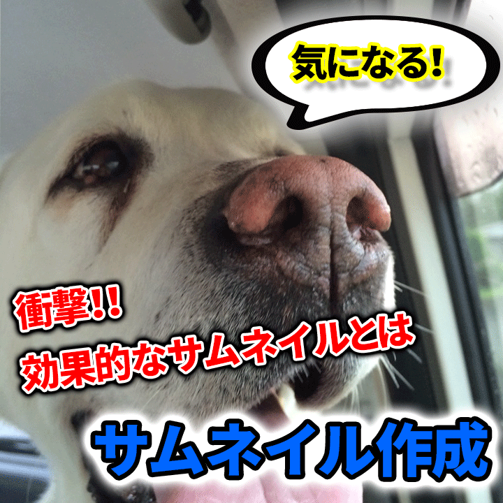 え？面白そう！そんなYouTubeのサムネ作ります 気になる！見てみよう！クリックしたくなるために重要なサムネ イメージ1