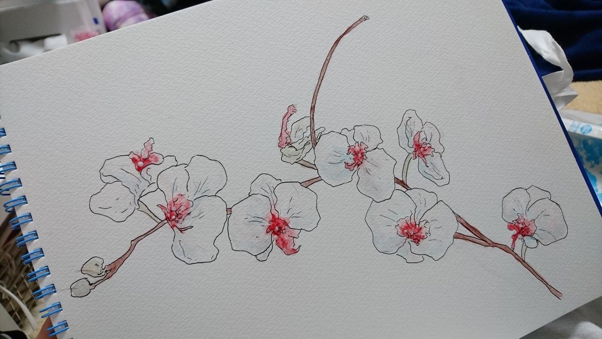 水彩で、お花の絵を描きます 装飾や絵葉書にオススメです!リクエストして下さい!