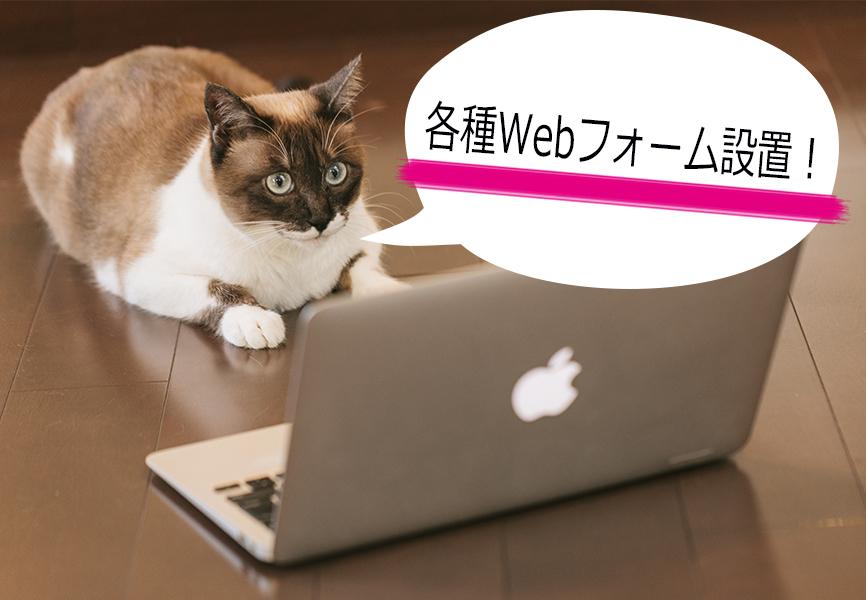 お問い合わせフォーム・注文フォーム設置いたします お問い合わせ・注文等、各種Webフォームを設置いたします