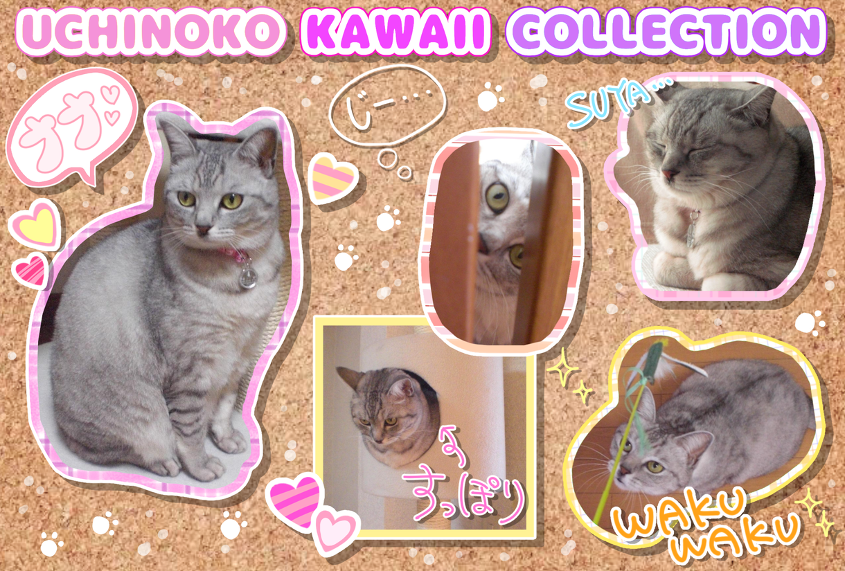 ねこさんとの思い出を記録します 『うちの子かわいいこれくしょん』アルバム風の画像を制作します