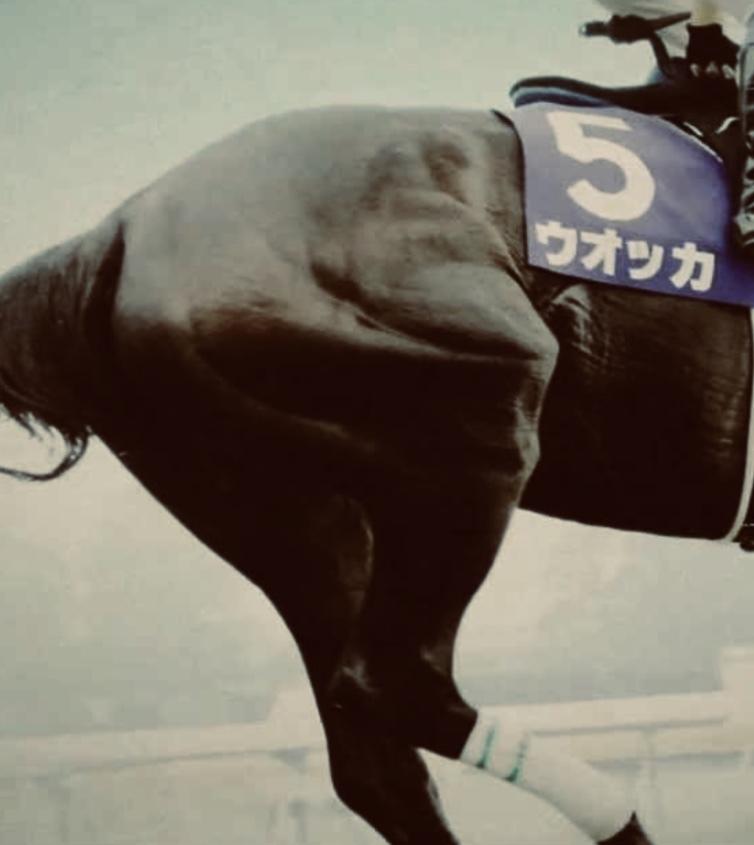 札幌2歳ステークス馬単予想します 毎週1点で仕留める馬単シリーズ
