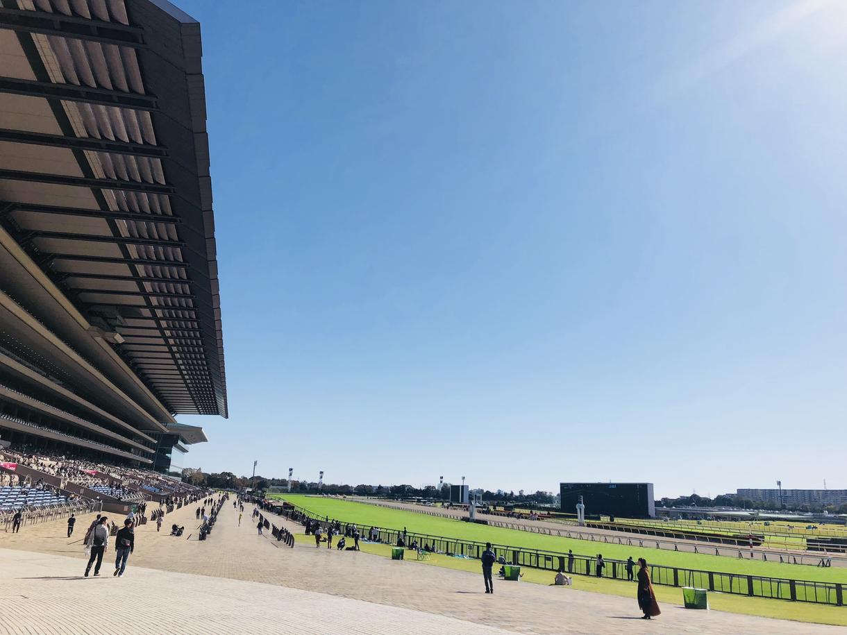 初心者向け競馬の予想方法、楽しみ方を教えます 競馬初心者の方 また競馬が好きな方!