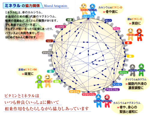 サプリメント選びのポイントをシェアします 自分に合ったサプリメント選びを支援します♬ イメージ2