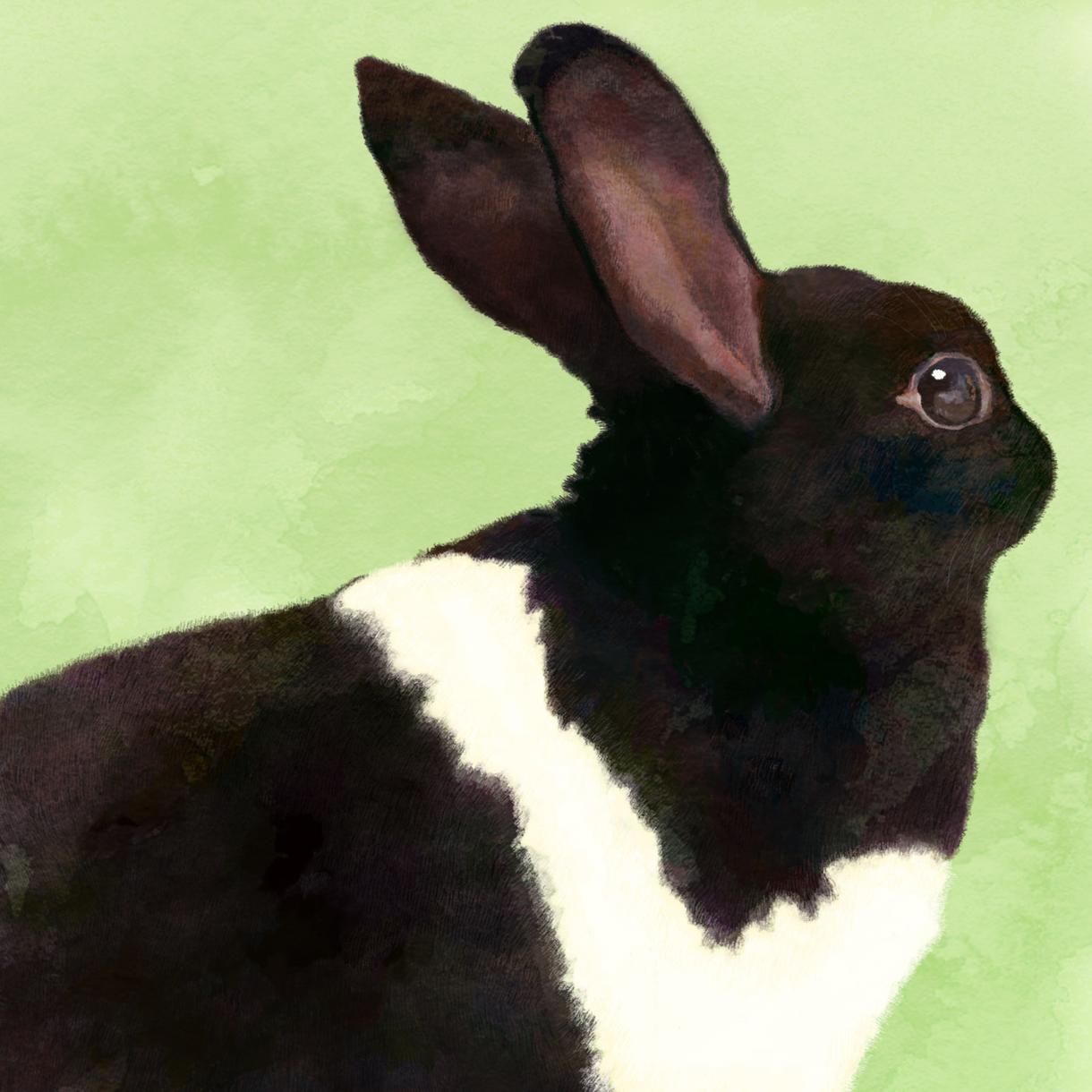 リアルタッチで動物のイラストをお描きします ペット 好きな動物のイラストがほしい方へ ペットイラスト作成 ココナラ