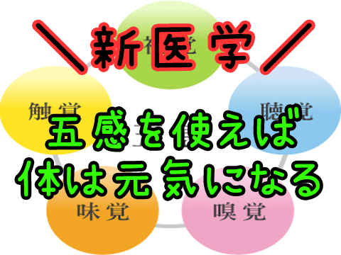 誰も知らないから暴露！本当の体の改善方法を教えます 五感を使って自然治癒力をアップさせる イメージ1