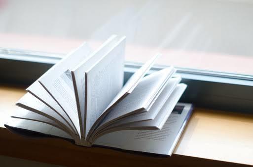 文章の感想をお伝えします ブログや日記、歌詞や小説など、文章の感想をお伝えします。