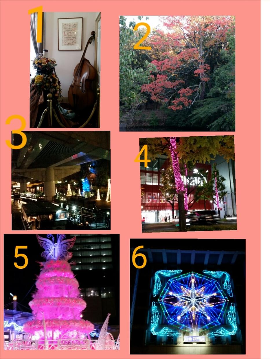 写真提供します SNSでオシャレな写真を載せたい方におすすめ