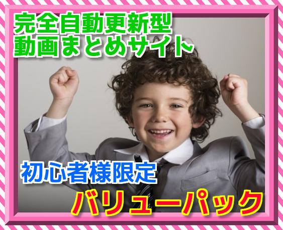 自動更新型の動画まとめサイトを制作します 自動で記事投稿を続ける動画まとめサイトをワードプレスで構築!