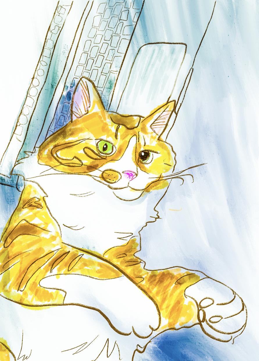 写真をイラスト化します 写真だとかっちりし過ぎるから印象を和らげたいという方へ