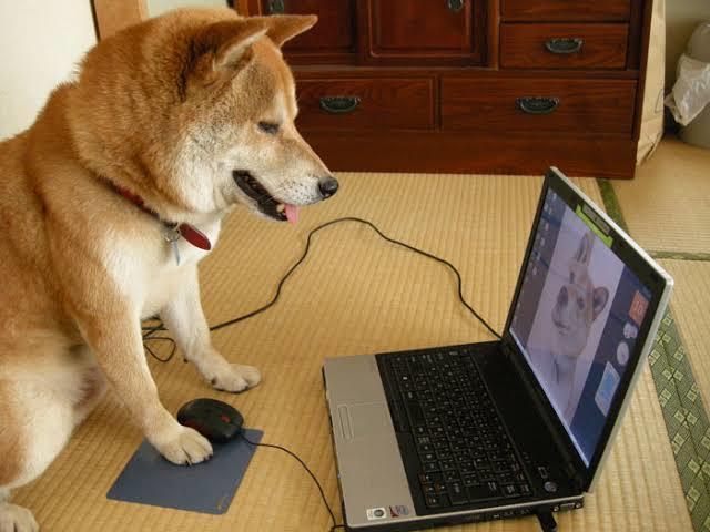 お持ちのwixホームページの編集作業を行います 更新したいけど面倒。やり方が分からない。そんな作業代行します