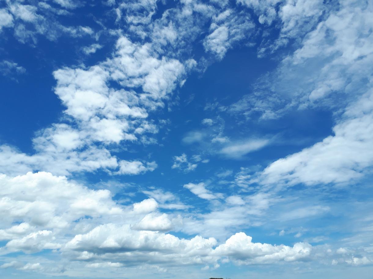 依頼された写真を一眼レフカメラで撮影しおくります 最高のベストショットをあなたにお届けします!