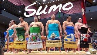 限定5名様!相撲についてのお話相手になります 九州場所期間中、相撲の話を誰かにしたいけど、通じる相手が。。