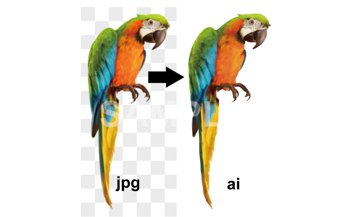 画像、ロゴ、手描きイラストなどをaiデータにします 複雑なデザインもお任せください!フォントだけ!ももちろんOK