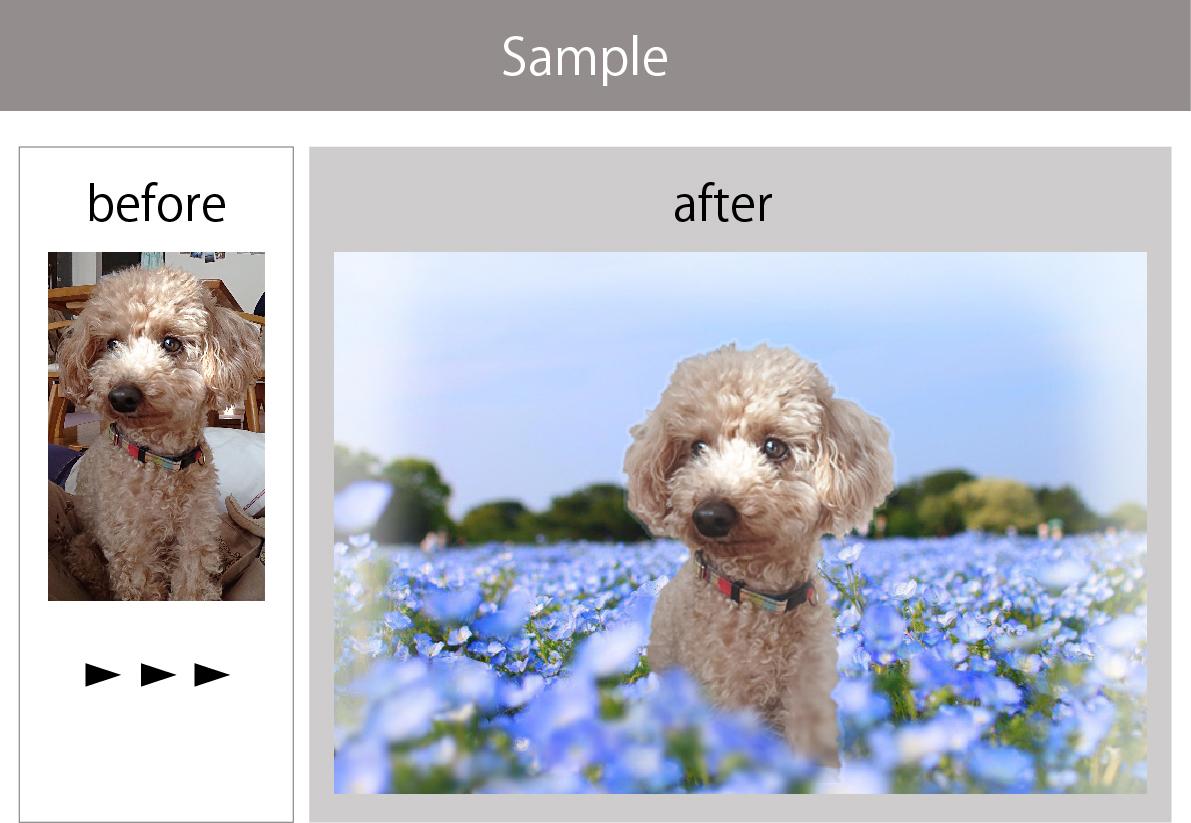 ペットの写真を加工し、思い出写真作成します 愛するペットのお気に入り写真を加工してより素敵にします