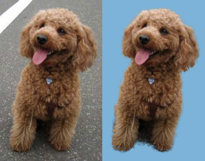複数枚の画像の切り抜きを承ります Photoshopで切り抜き、写真から素材を作ります。