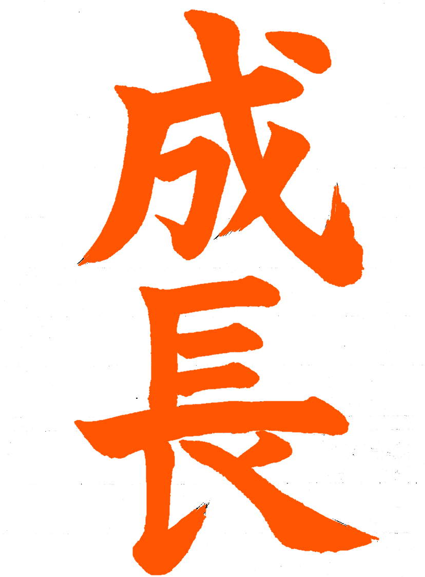 習字の添削 指導 お手本書きます 書道歴年以上の師範におまかせを 趣味のアドバイス おすすめ ココナラ