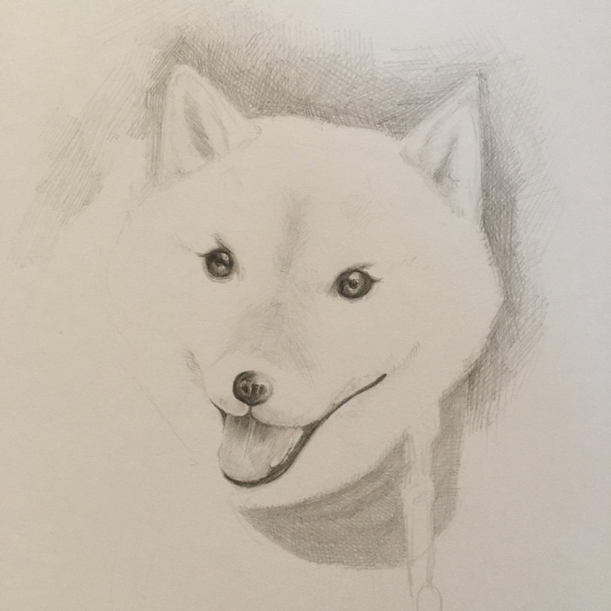 ペット似顔絵描きます あなたのペット描きます(人´∀`*)