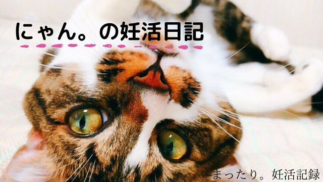 ブログのアイキャッチ画像作ります あなたのオリジナルの画像でブログを華やかにしませんか