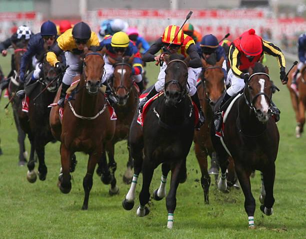 未勝利レースが激アツ!朝一の激アツ予想をします 本当に当たりやすいのは未勝利馬だった!?