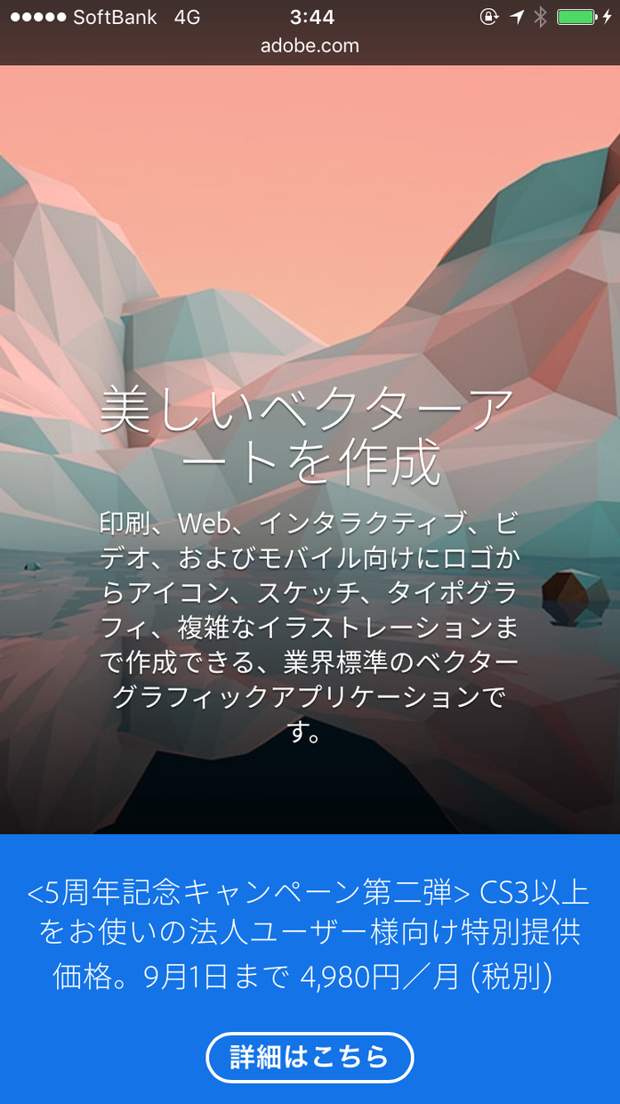 1週間納品 イメージを伝えるチラシ制作致します 1週間なら何度でも変更承ります。