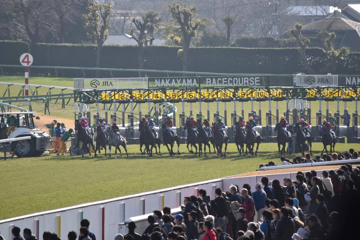 JRA競馬予想の方法教えます テキトーに馬券を買うのをやめたい方必見!!