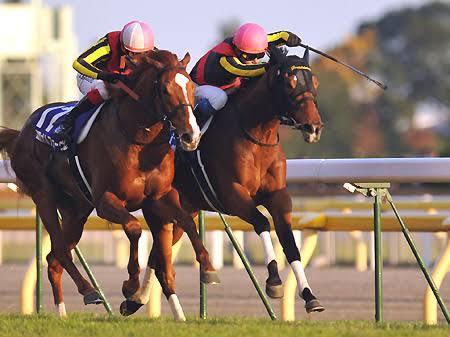 札幌2歳ステークス予想馬3頭教えます 札幌2歳ステークスの印をお伝えします。