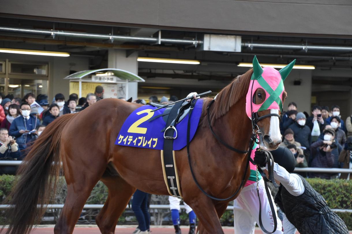 GIチャンピオンズカップを予想します 競馬歴15年 少ない点数で予想します。初心者でも安心