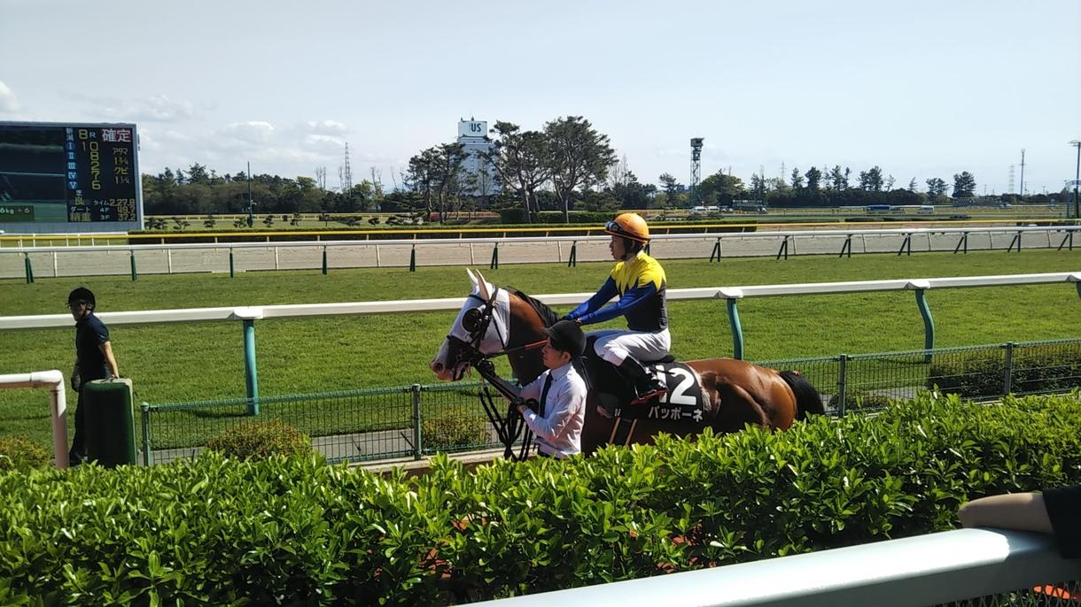 競馬の予想ます 中央競馬から南関東競馬まで毎日の競馬で的中馬券をプレゼント!
