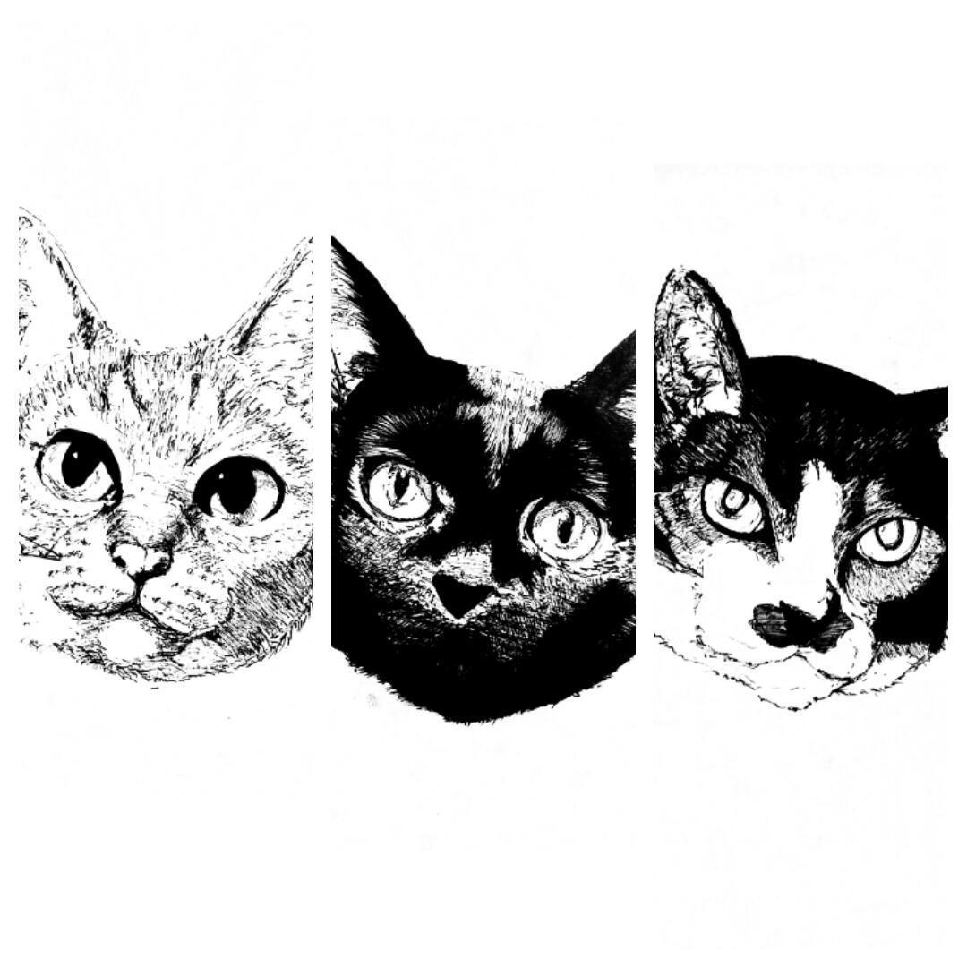 ロイヤリティフリー鳥 イラスト 白黒 リアル ディズニー画像のすべて