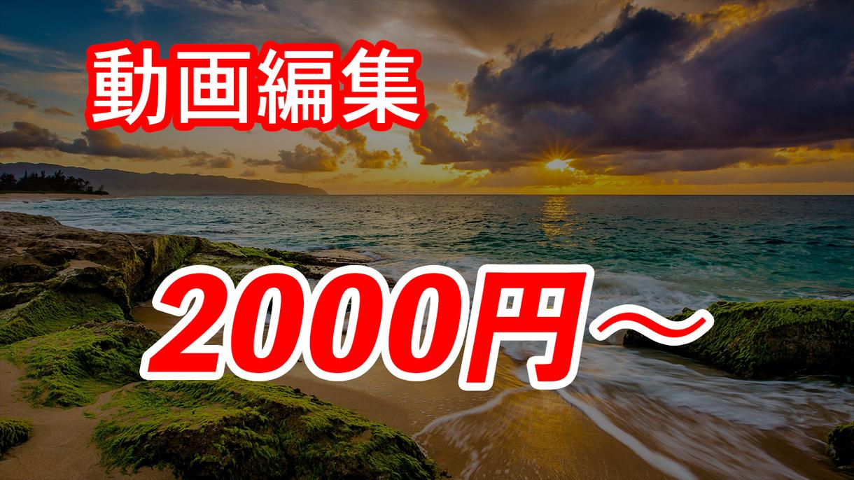 動画編集(カット・テロップ・BGM挿入など)します Youtuberさん大歓迎!最短即日納品可能!